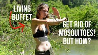 No more mosquito plague - a fight for life and death 