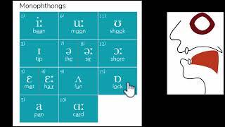 IPA chart with mouth positions  Fricatives Plosives Affricates Approximants  Tune Your English