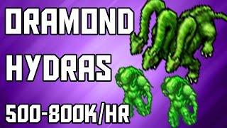 Tibia Where to Hunt – EK 150+ Oramond Hydras 500-800khr