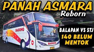 ARTIS BALAP COMEBACK ‼️ GASPOLL 140 BALAPAN vs STJ   Trip Report Bus Balap BAGONG PANAH ASMARA