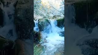 Sounds for study sleep relax #nature #waterfall #relaxing #water #whitenoise