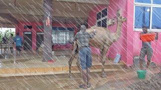 SUDDEN HEAVY RAIN IN LOCAL GHANA COMMUNITY ACCRA NUNGUA