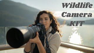 Whats in my Camera Bag? Wildlife Photography in Alaska Edition