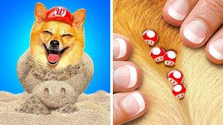 Mario Dog Has Fleas  *Cool Pet Hacks and Gadgets For Pets With Mario Digital Circus*