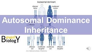 Autosomal Dominance Genetic Inheritance story based