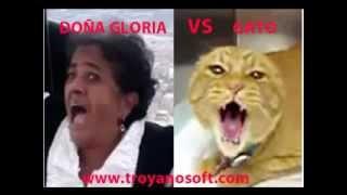 Doña gloria VS Gato girl vs cat