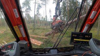 Komatsu 931xc in clearcut