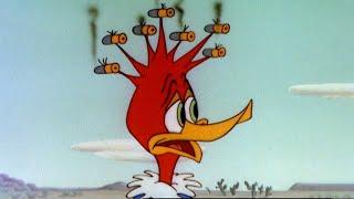 Woodys In Trouble  2.5 Hours of Classic Episodes of Woody Woodpecker