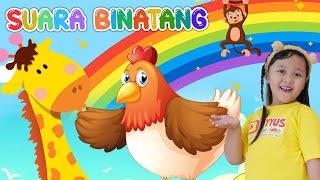 ANIMAL VOICE SONG  Kindergarten Nursery Rhymes & Kids Songs