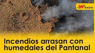 Incendios arrasan con humedales del Pantanal
