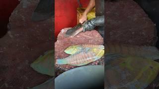 Fast Cutting Skills#fishcutting_skills#srilanka#youtubeshorts