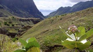 Hiking Cabo Verde - Trekking Cap Vert - Ile de Santo Antão - oct 2015