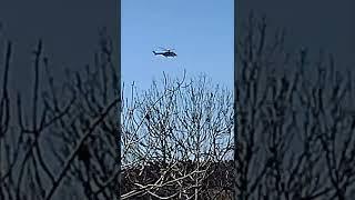 Finnish Border Guard Super Puma helicopter 19 April