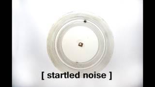 Hear My Voice Sound recording glass disc with photographic emulsion made March 11 1885