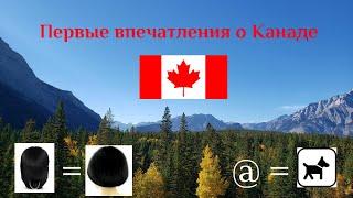 #10. Первые впечатления о Канаде