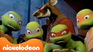 TMNT Teenage Mutant Ninja Turtles  TMNT 2012 - Die ersten 8 Folgen  Nickelodeon Deutschland