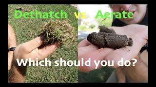 Aeration vs Dethatching  Which should YOU do??