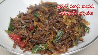 කටට රහට සැරට හාල්මැස්සෝ බැදුමක් - Halmasso Thel Dala Recipe  Sri Lankan Halmasso Baduma