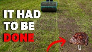 I gave away a FREE  lawn renovation because of this one thing...