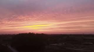 Mesmerizing Pink Dusk Birds Dancing in the Sky.