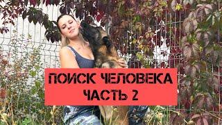 Как научить собаку искать человека часть 2 поиск человека обучение по поиску