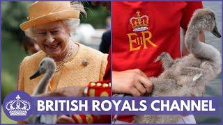 The Queens Annual Swan Upping From Royal Tradition to Environmental Conservation  British Royals