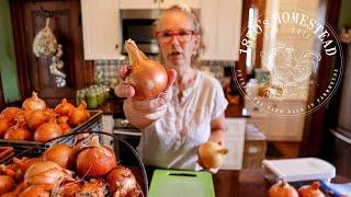 What Do I Look for?  Lessons Preserving Onions