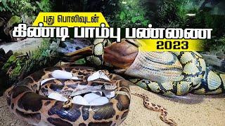 Chennai Guindy Snake Park 2023 I கிண்டி பாம்பு பண்ணை I Guindy National Park I Top 10 Tourist places
