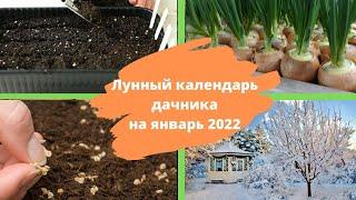ЛУННЫЙ КАЛЕНДАРЬ садовода и огородника на январь 2022