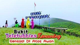 Teletubbies Hill. Kemuning Sky Hills Karanganyar. The newest tourist spot in the Kemuning tea garden