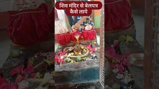 shiv mandir se belpatra kaise laye #anuradhavarma #pradeepmisra #katha #upay