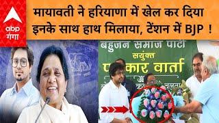 BSP In Haryana 37 सीटों पर लड़ेगी BSP CM फेस पर बनी बात मायावती ने चल दी बड़ी चाल  ABP GANGA