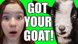 OMG IVE GOT YOUR GOAT Official Video  Babyteeth More