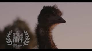 Emu Runner American Emu Association Partnership Teaser