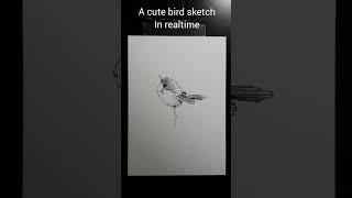 How to draw a bird quick and easy in real time #shorts #cute #funny #birds #animals #drawing #art