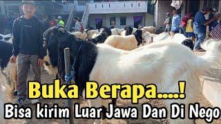 HARGA KAMBING DI PASAR PANDANREJO KALIGESING PURWOREJO#kambingkaligesing #pasarkaligesing #kambing