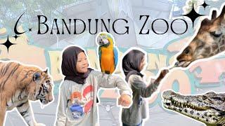 JELAJAH BANDUNG ZOO TERBARU 2024  Wisata Bandung  Kebun Binatang Bandung