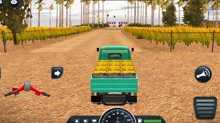 Mini auto drive and dilevery fresh fruit to market   Indian truck simulator