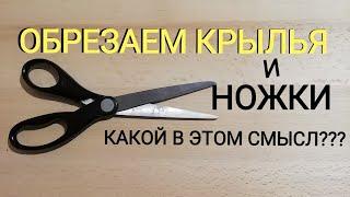 Противороевой метод который не работает но о нём говорят