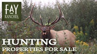 Big Game Hunting Properties For Sale  Fay Ranches  Coast to Coast