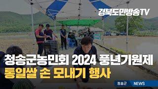 청송군농민회 2024년 풍년기원제 및 통일쌀 손 모내기 행사 윤경희군수 경북도민방송TV