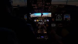 Full B737 Sim Landing View #flightsimulator