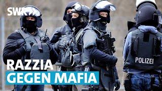 Was will die Mafia in Rheinland-Pfalz?  Zur Sache Rheinland-Pfalz