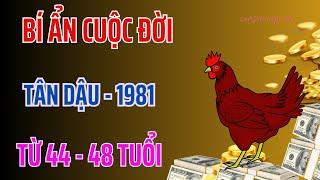 Tử Vi - Bí Ẩn Cuộc Đời - Tân Dậu 1981 - Từ 44 Tới 48 Tuổi - Đác Lộc Thần Tài - Tiền Về Giàu Có