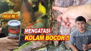 Mengatasi Kolam Ikan Bocor Tambal Pakai Ini Saja..