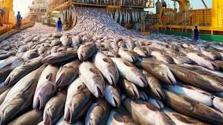 American Fishermen Catch Hundreds Of tons Of Fish Using Large Modern Vessels - Commercial Fishing