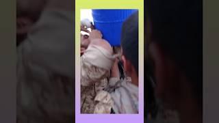 ارتش سربازی خدمت سربازا برای یه لیوان اب دارن دعوا میکنن#سربازی #خدمت #ارتش