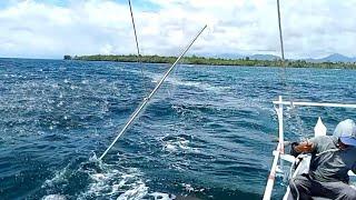Berburu ikan cakalang dan ikan tongkol menggunakan jaring terbang@anakpantaitumbu