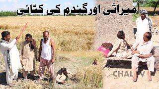 Mirasee Aur Gandam Katai #Helmet Aur Rocket New Punjabi Comedy  Funny Video 2020  Chal TV