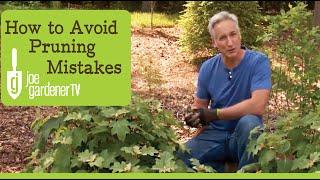 Biggest Pruning Mistakes And How to Avoid Them